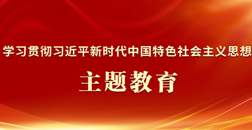 学习贯彻习近平新时代中国特色社会主义思想