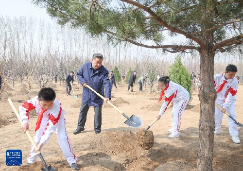 党和国家领导人参加首都义务植树活动