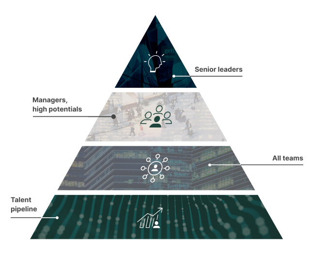 A four-level pyramid diagram with Senior leaders at the top, then Managers & high potentials, then All teams, then talent pipeline