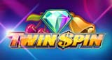 Twin Spin slot