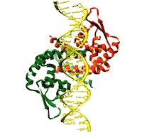 PDB entry 3Q5F.