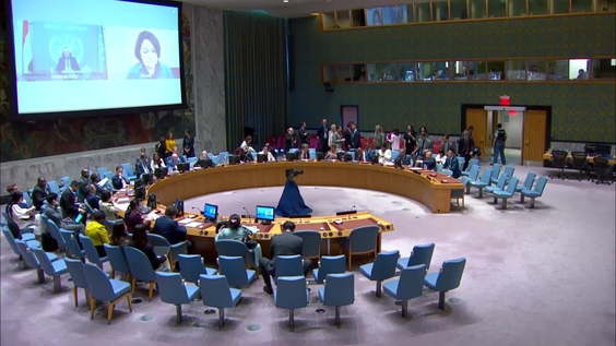 Threats to international peace and security - Security Council, 9691st meeting