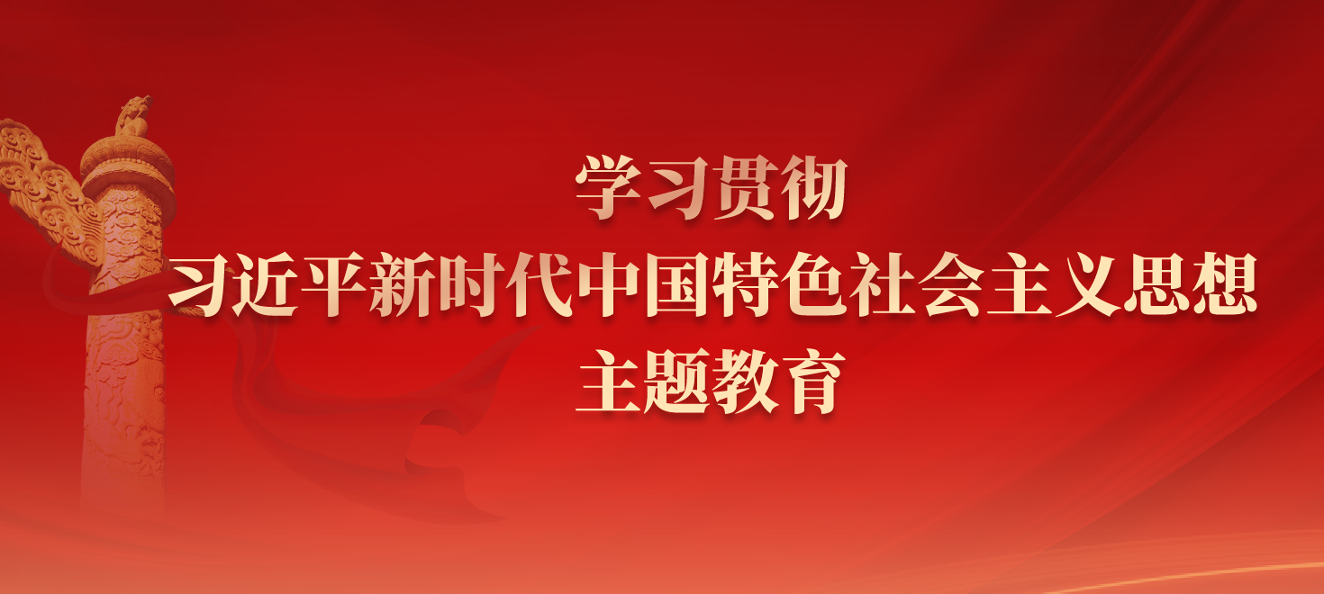 学习贯彻习近平新时代中国特色社会主义思想主题教育