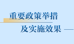 重要政策举措及实施效果