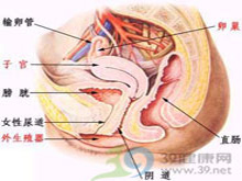 尿道变粗变硬