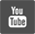 YouTube icon