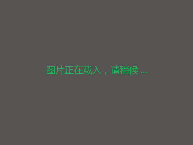 内蒙古兴安科尔沁右翼中10000亩水田出租种什么都行