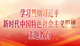 学习贯彻习近平新时代中国特色社会思想主题教育