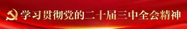 学习贯彻党的二十届三中全会精神