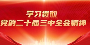 学习贯彻党的二十届三中全会精神