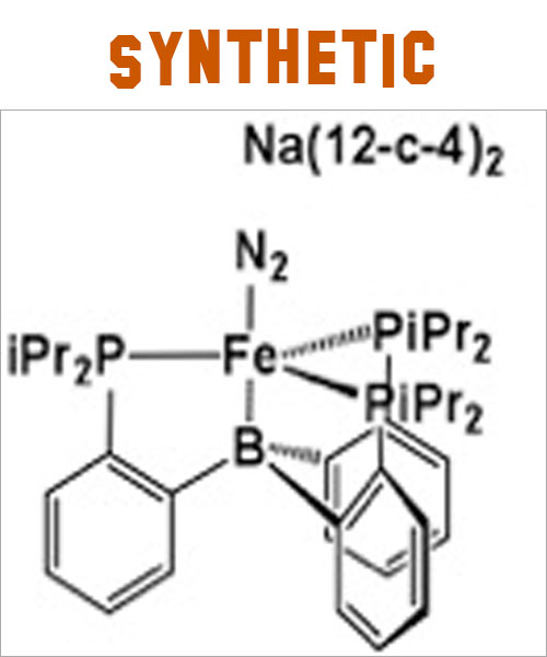 Peters Lab