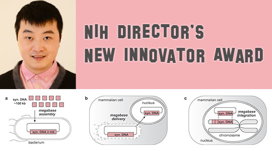 NIH Director's New Innovator Award