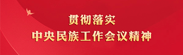 贯彻落实中央民族工作会议精神