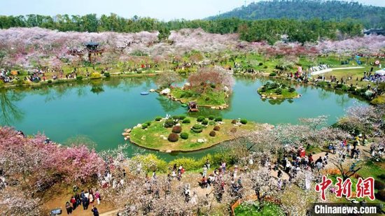 武汉赏花游持续升温激活“美丽经济”