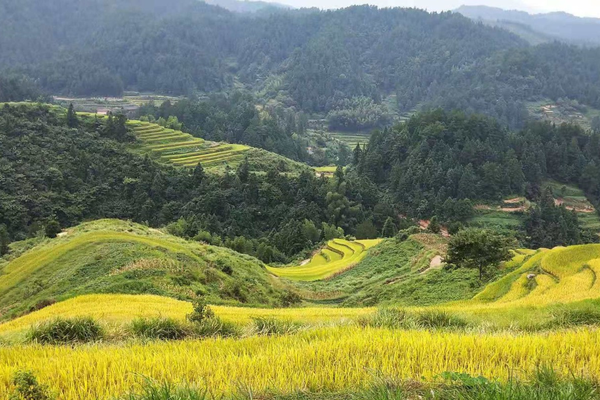 一座美如画卷的梯田村落：邵阳城步卡田村