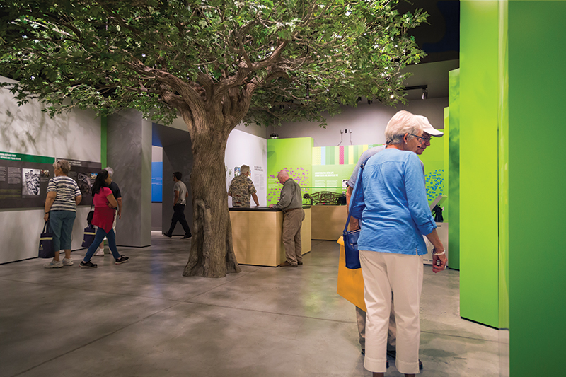 People walk around and look at artifacts in the Museum.