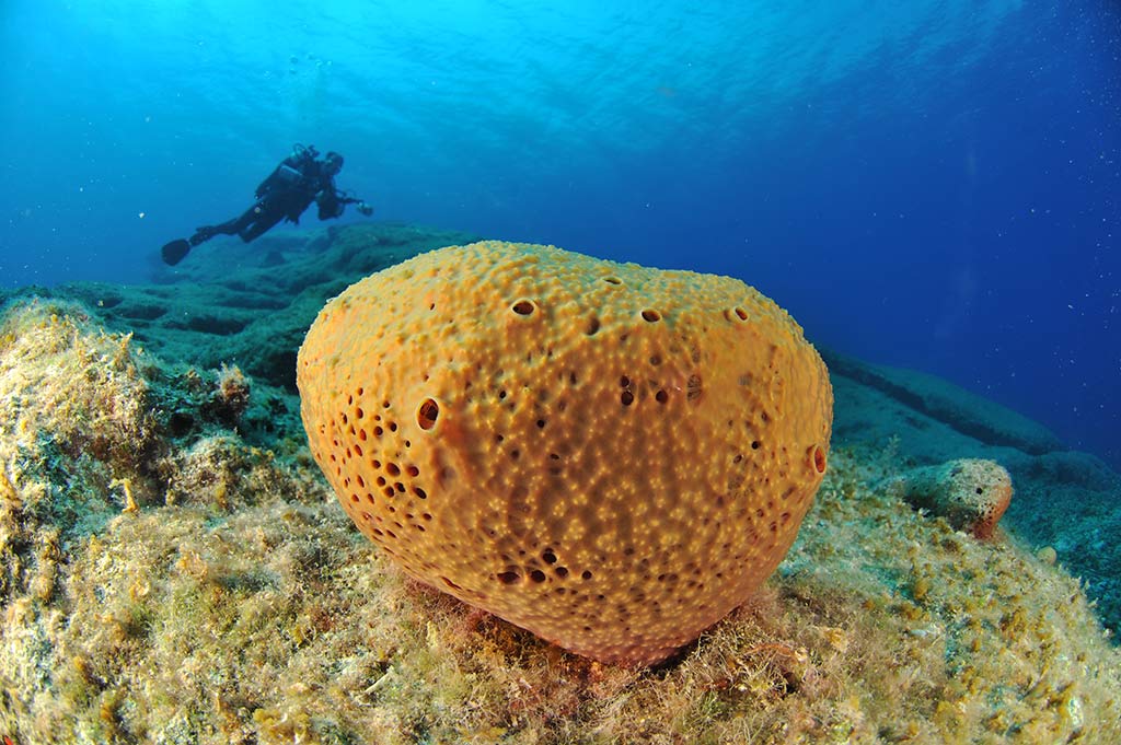 Bomba Bay, Libya ©SPARAC, Mathieu FOULQUIE