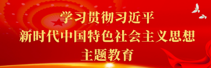 学习贯彻习近平新时代中国特色社会主义思想主题教育