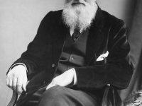 Alfred Russel Wallace and the Natural Selection