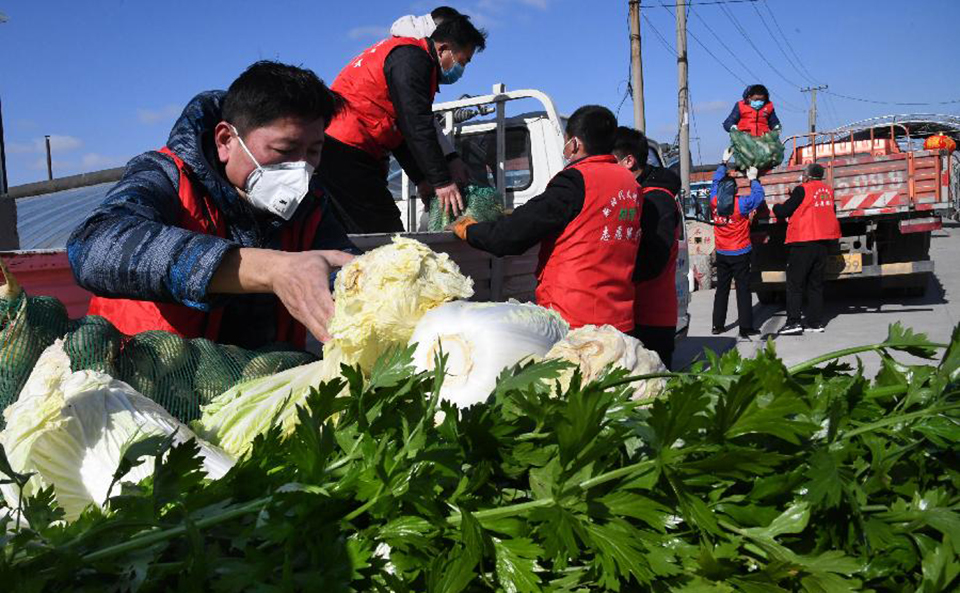 山东胶州筹集爱心蔬菜 捐赠支援武汉