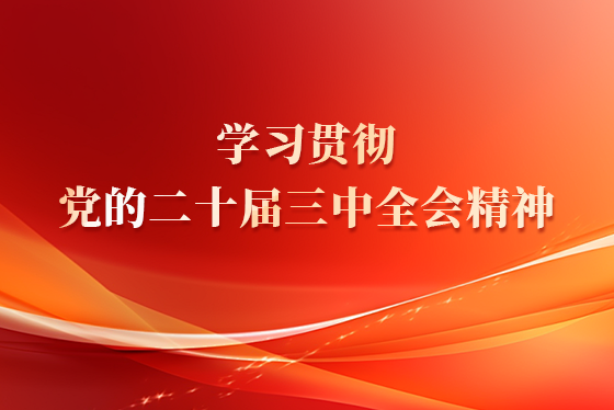 学习贯彻党的二十届三中全会精神