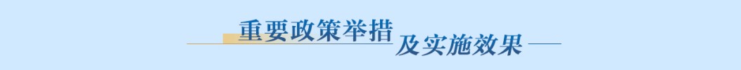 重要政策举措及实施效果