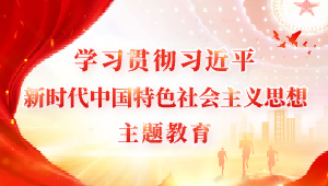 学习贯彻习近平新时代中国特色社会主义思想主题教育