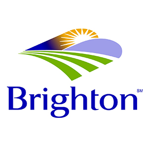 City of Brighton