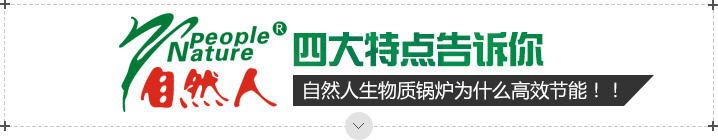 生物质燃料锅炉的4个特点