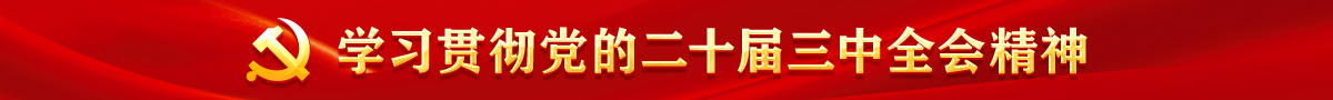 学习贯彻党的二十届三中全会精神