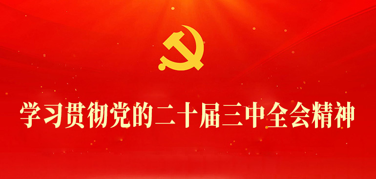 学习贯彻党的二十届三中全会精神