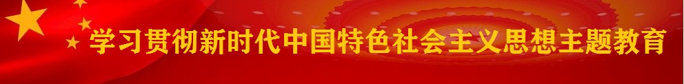 学习贯彻习近平新时代中国特色社会主义思想主题教育