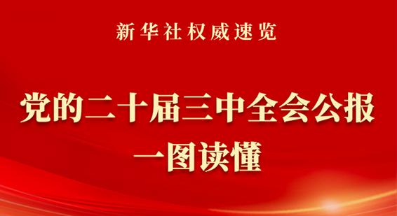 党的二十届三中全会公报一图读懂