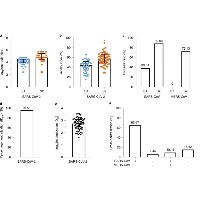 COVID-19 新型コロナウイルス