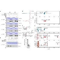 COVID-19 新型コロナウイルス