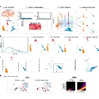 COVID-19 新型コロナウイルス