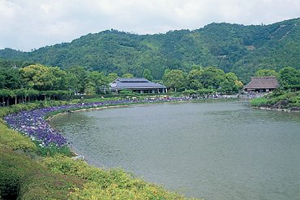 日本庭園 南楽園