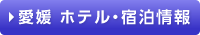 ホテル宿泊情報