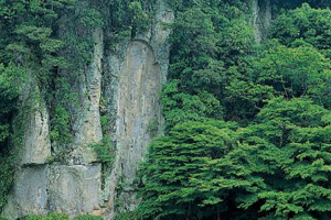 大野寺磨崖仏