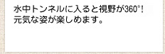 水中トンネルに入ると視野が360℃！元気な姿が楽しめます。