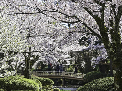 春のおすすめ観光地