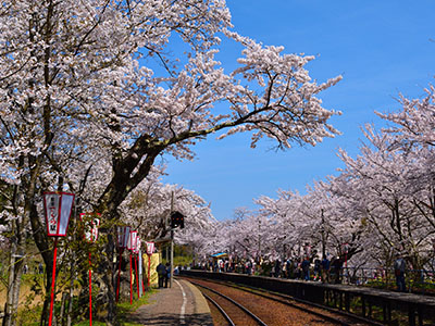 春のおすすめ観光地