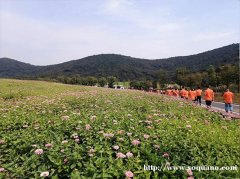 定制化旅行 定制化团建 旅行团建