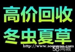 四平13366110494回收冬虫夏草东阿阿胶片仔癀海参燕窝