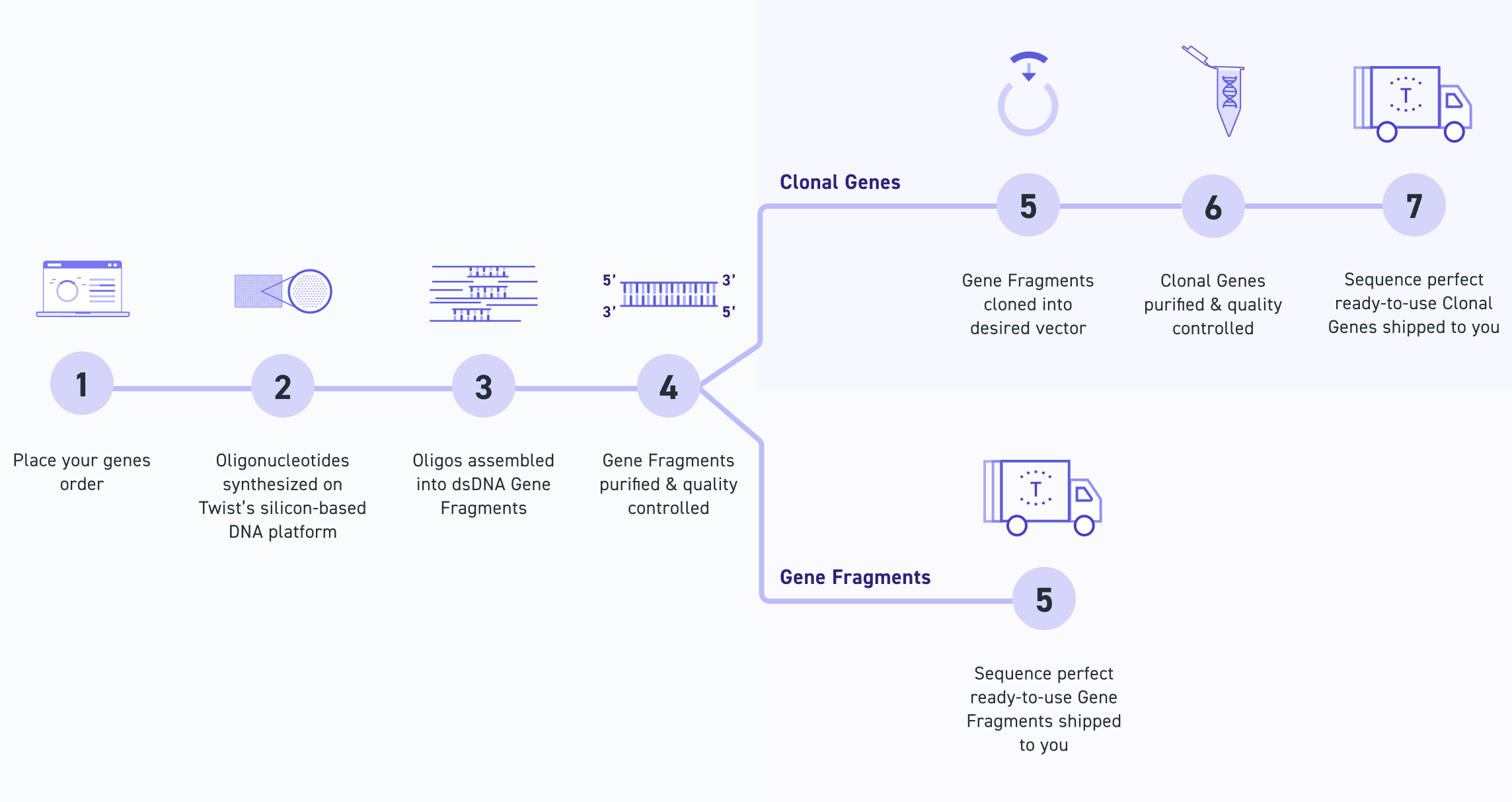 Genes Workflow