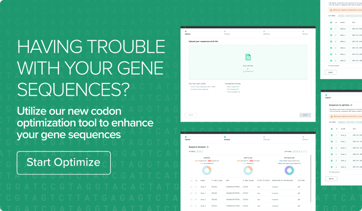 codon-optimization-tool