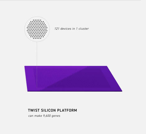 Twist silicon platform