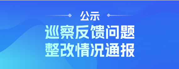 公示—巡察反馈问题整改情况通报