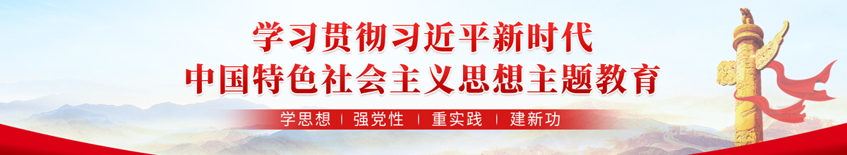 学习贯彻习近平新时代中国特色社会主义思想主题教育