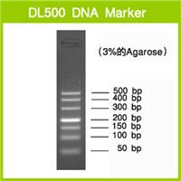 DL500 DNA Marker |3590A |TAKARA进口原装|现货当日发